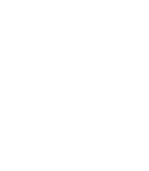 MIC Logo